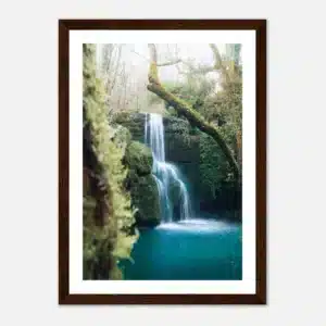 5db3dc2a-05d6-4b07-bb93-d7ad31cd58ac