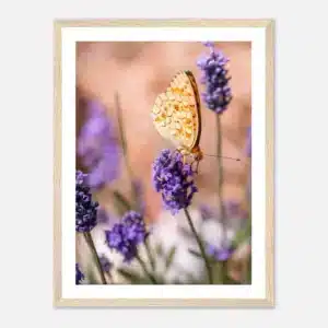 5e23a249-e228-43cd-b85b-711fd81945ce