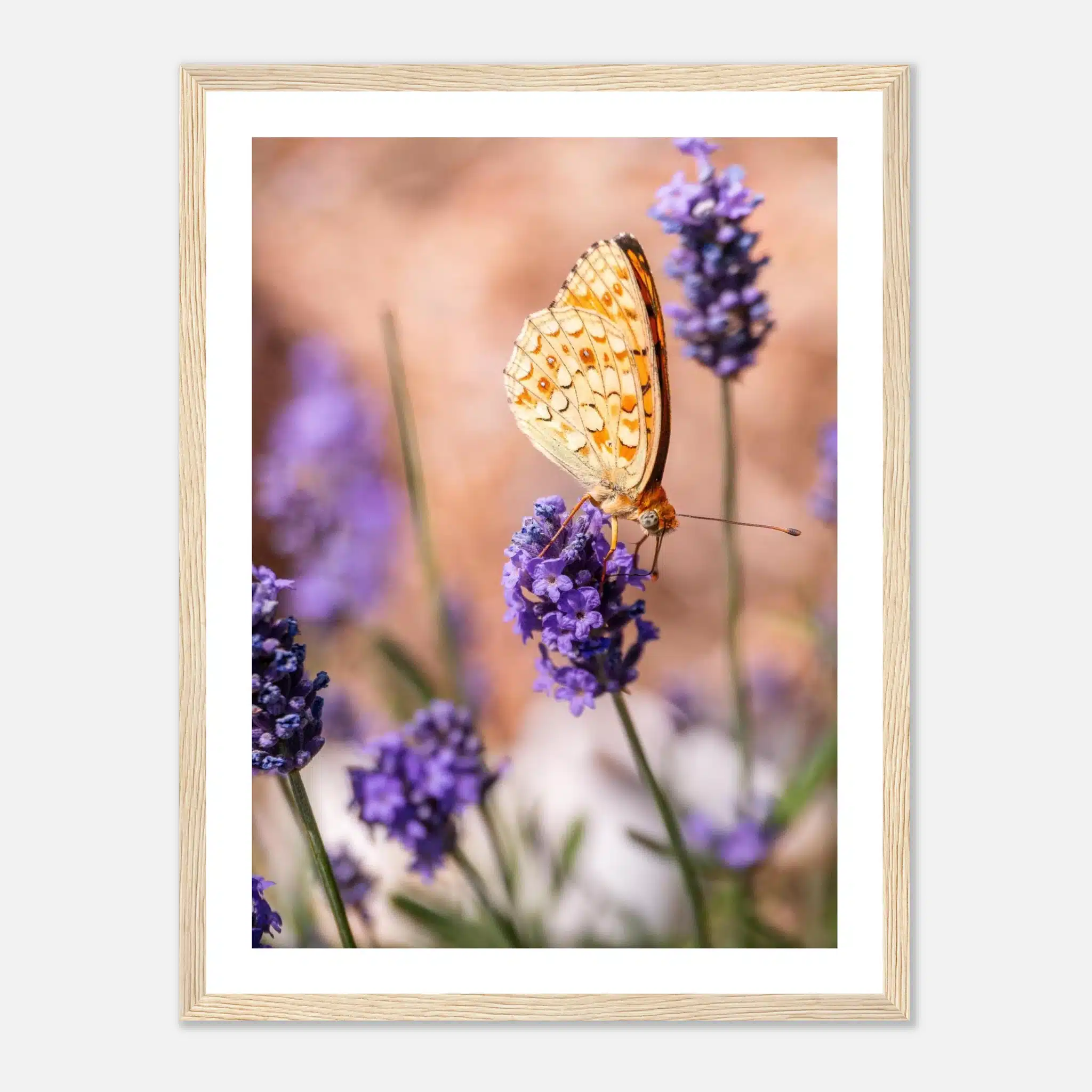 5e23a249-e228-43cd-b85b-711fd81945ce