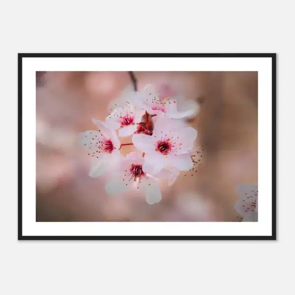 5f7ab3c5-ea4c-4ef6-9278-f3294a49e8f8