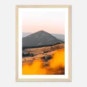 6887f01d-ef8b-445a-82cc-8e3a038f7be9