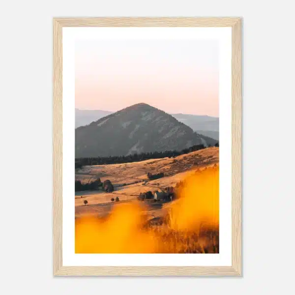 6887f01d-ef8b-445a-82cc-8e3a038f7be9