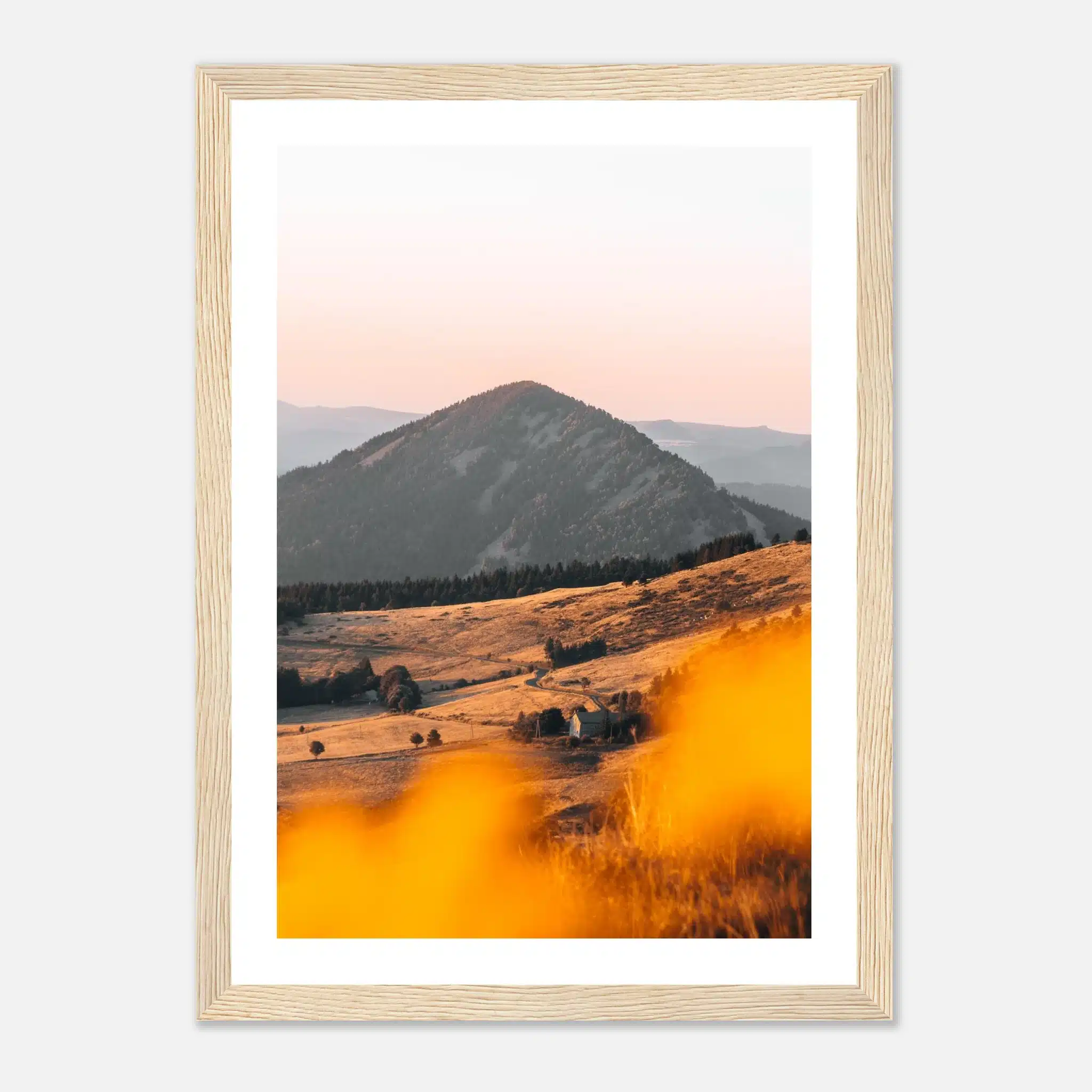 6887f01d-ef8b-445a-82cc-8e3a038f7be9