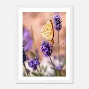 6952cdbe-ed30-43f7-94b4-8073a83c9b77