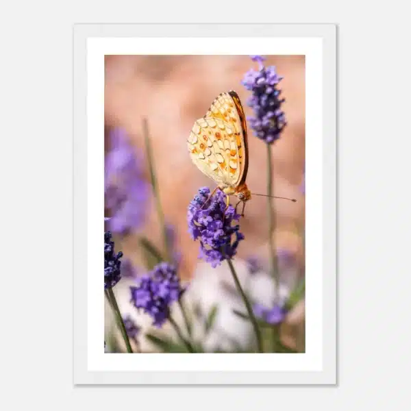 6952cdbe-ed30-43f7-94b4-8073a83c9b77