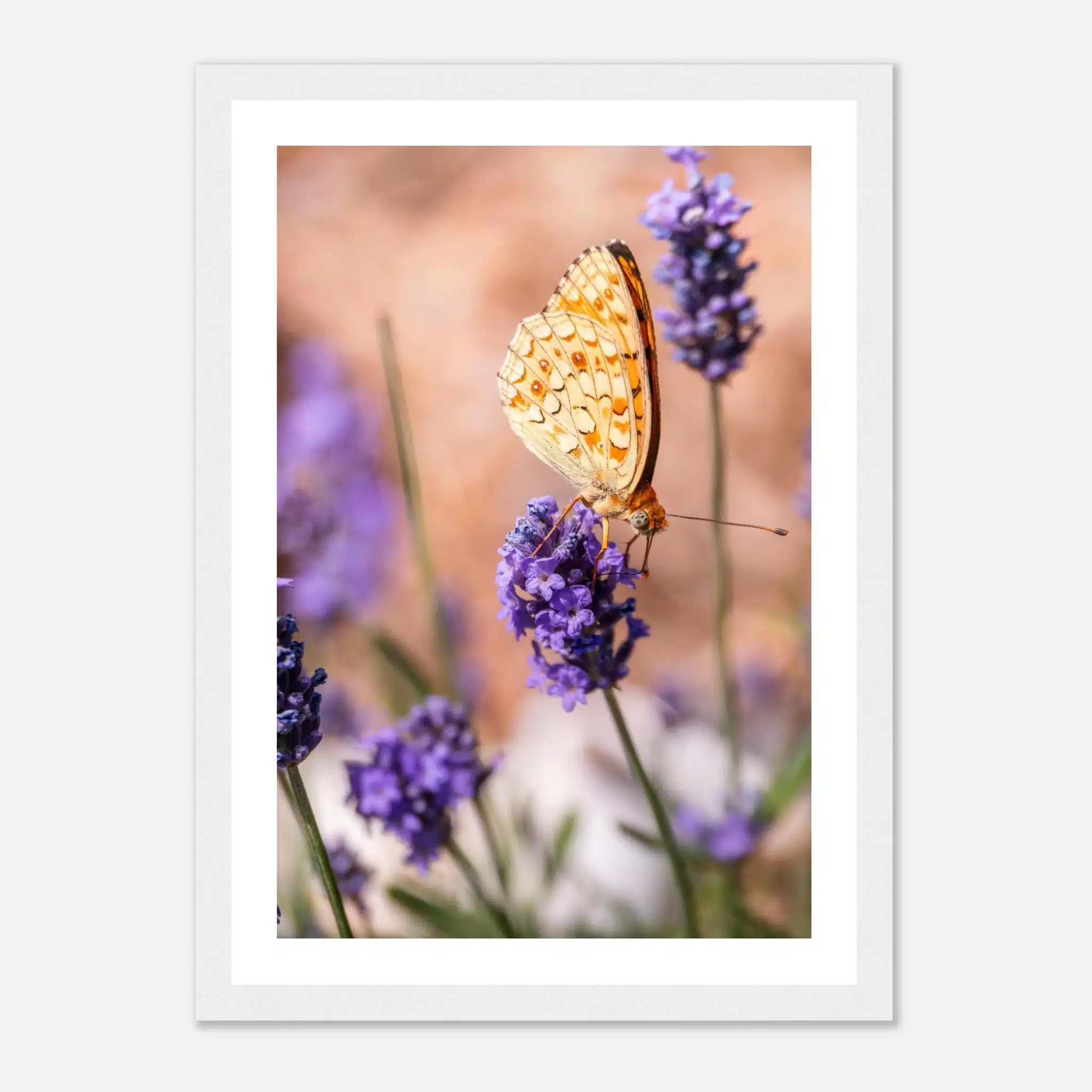 6952cdbe-ed30-43f7-94b4-8073a83c9b77