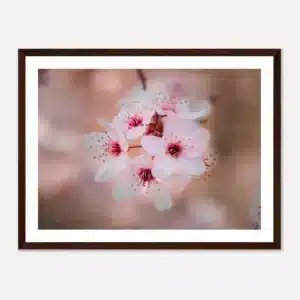 6a1b3a1c-6592-46c1-b8d0-6edd559102d1