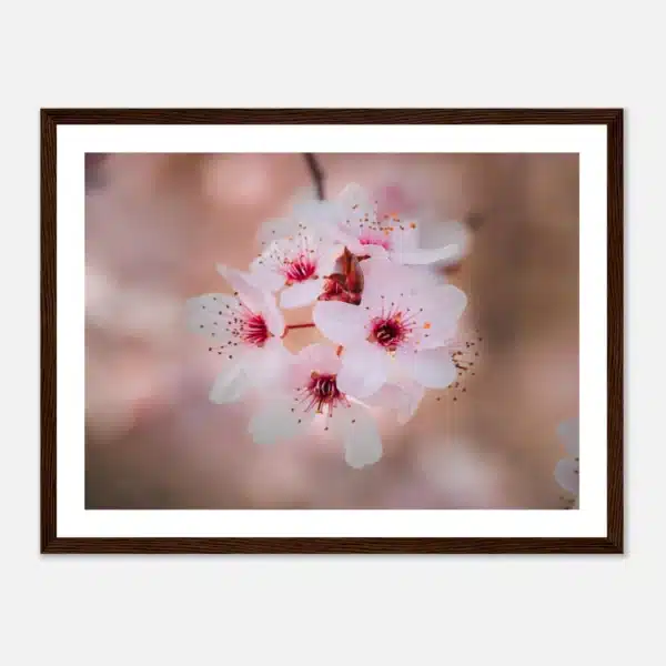 6a1b3a1c-6592-46c1-b8d0-6edd559102d1