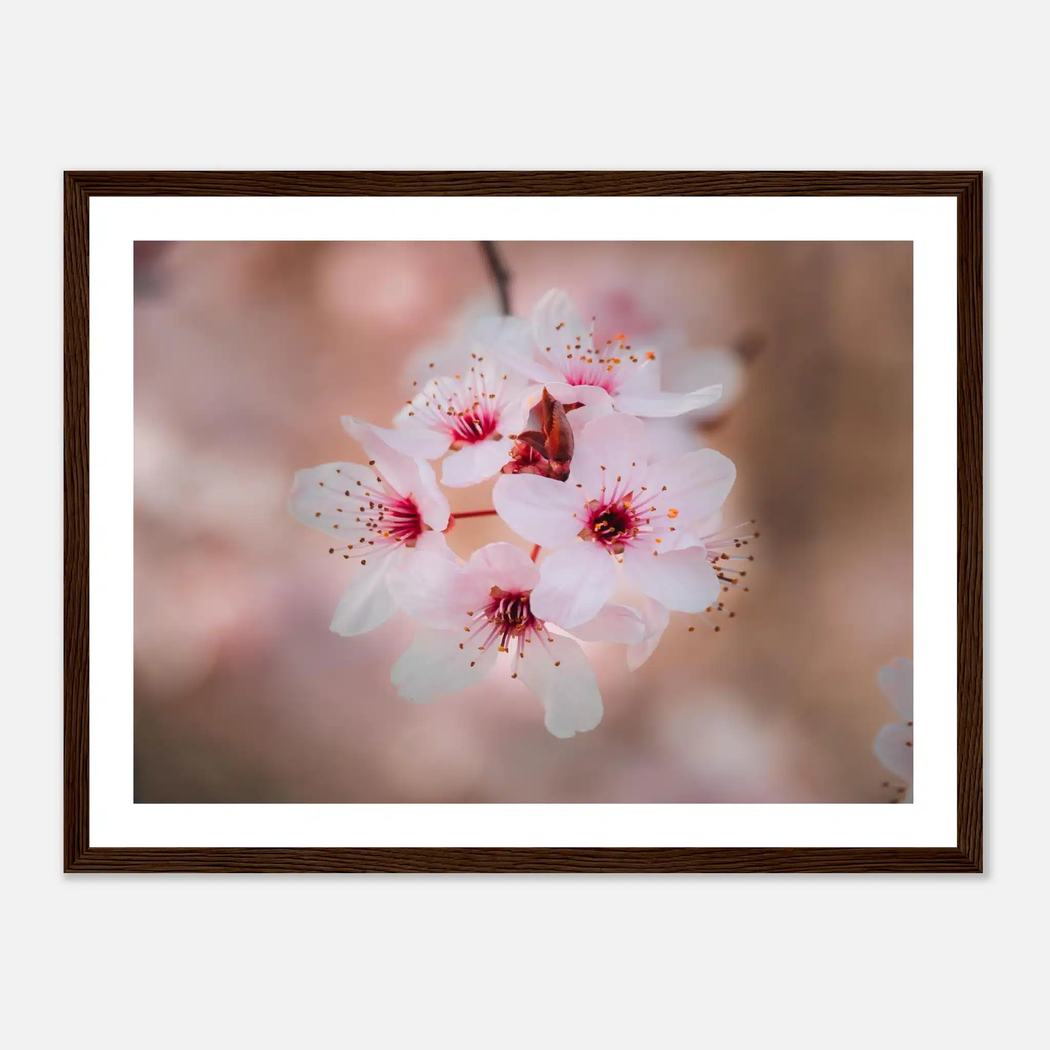 6a1b3a1c-6592-46c1-b8d0-6edd559102d1