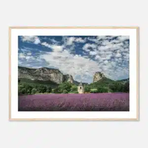 6a1d5958-ba0e-4d55-bfcb-ca81b9a7da45