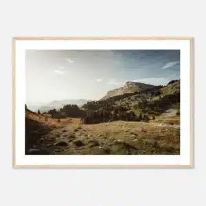 6e814830-8267-4d44-a4a6-28f8e2227be4