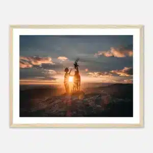 6f8ff278-4b81-4d2f-a616-0de9560dede0