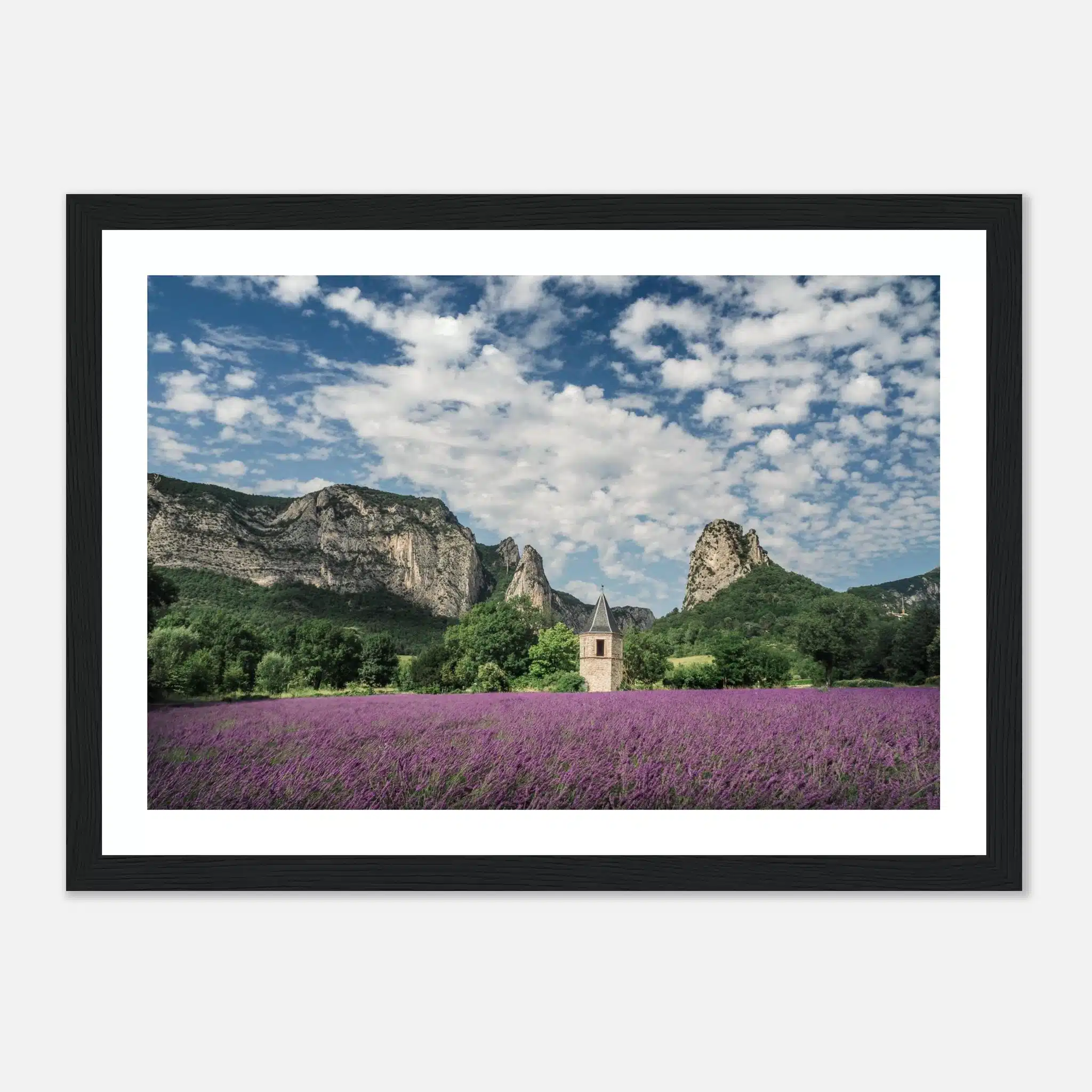 704f67db-1948-4958-b513-4e0914e66741