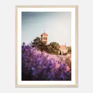 72cb102a-8637-43ff-bcbc-e1ee4a76ca36