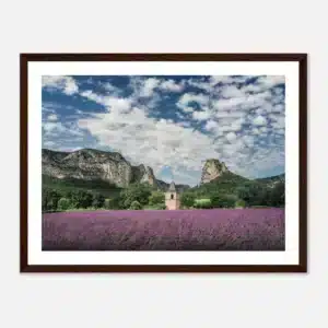 75d9a52f-7541-4e77-9158-032a8c623b99