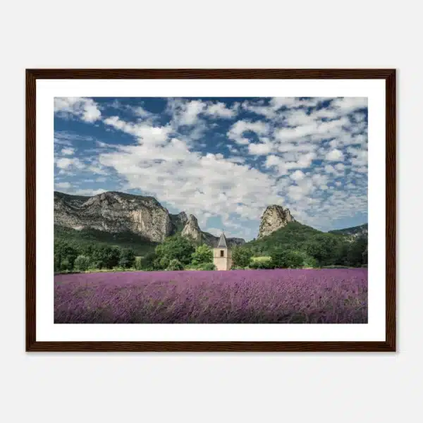 75d9a52f-7541-4e77-9158-032a8c623b99