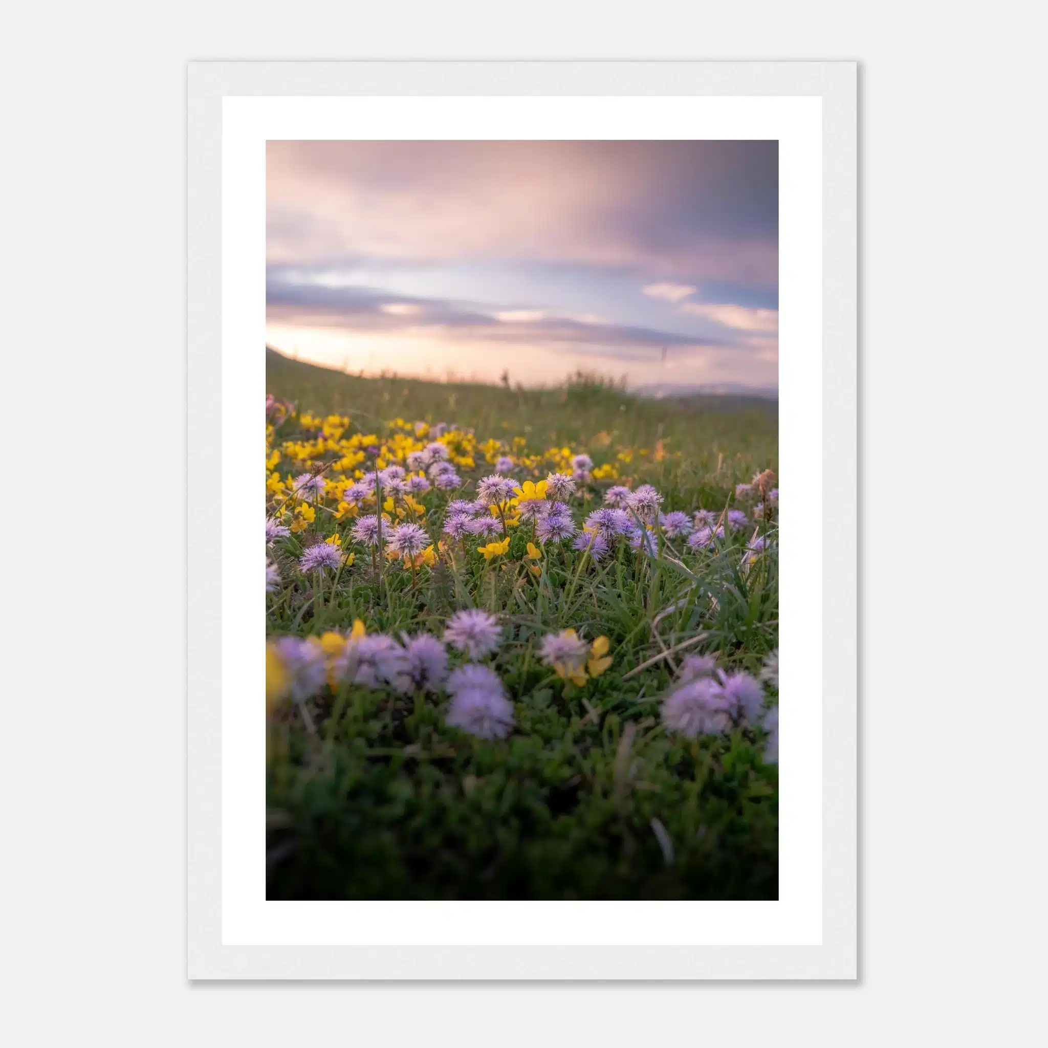 78cd73d3-1dfe-4265-a93e-75504a6c34eb