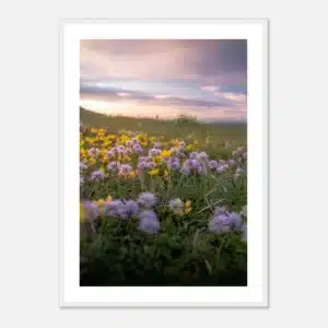 7c233d72-b330-4aa7-a66d-9ad41d3b0f9f