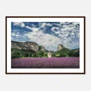 7c860564-222d-4c49-b5a9-34dd77d64929