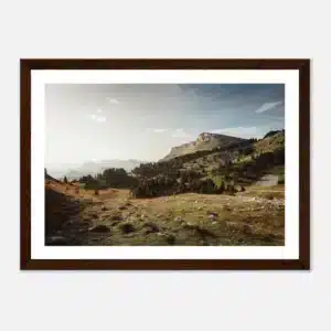 8095adc1-2e5e-4b19-8280-e60724443a43