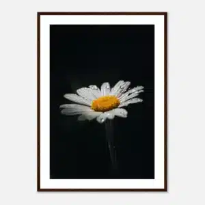 85092e87-6b9f-4b0b-9384-ccb23ba06011