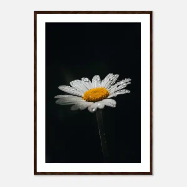 85092e87-6b9f-4b0b-9384-ccb23ba06011