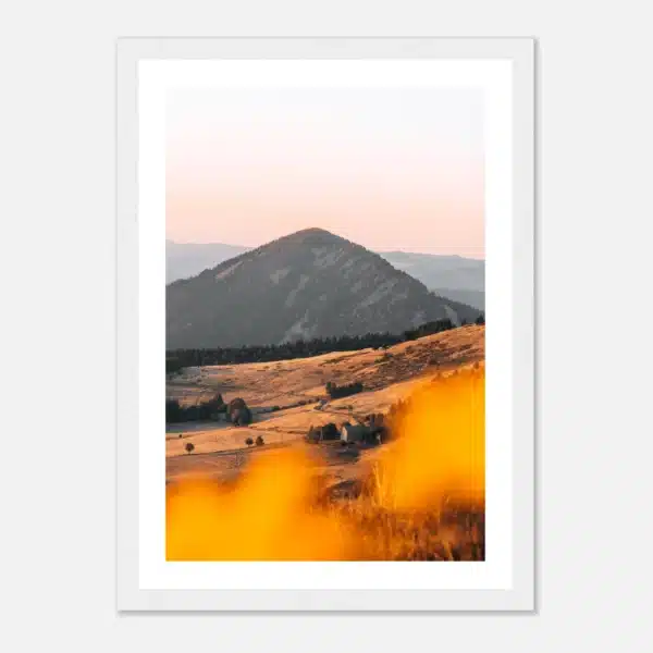 852820f3-c40c-46da-aed9-9c7b1a23556c