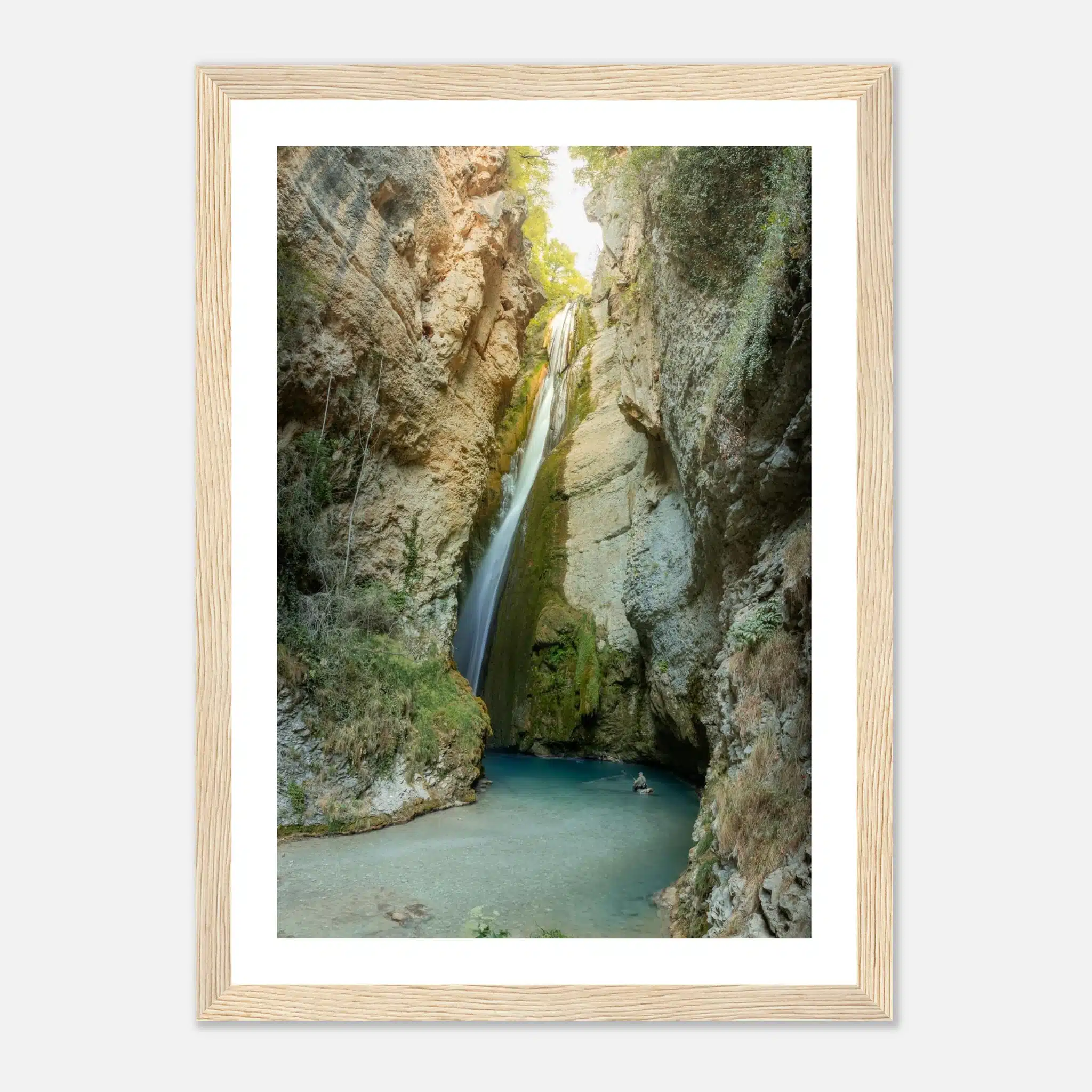 85476845-633b-420c-a8ea-e3fd4200f29d