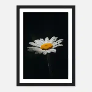 85c92dd9-9272-4c5e-bf2d-1bd330758743