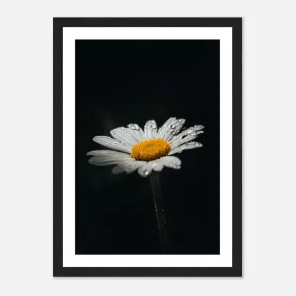 85c92dd9-9272-4c5e-bf2d-1bd330758743