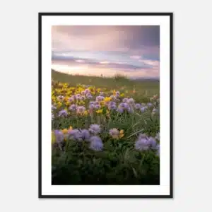 90269cf8-0d42-4d73-b744-36f38241fdaf