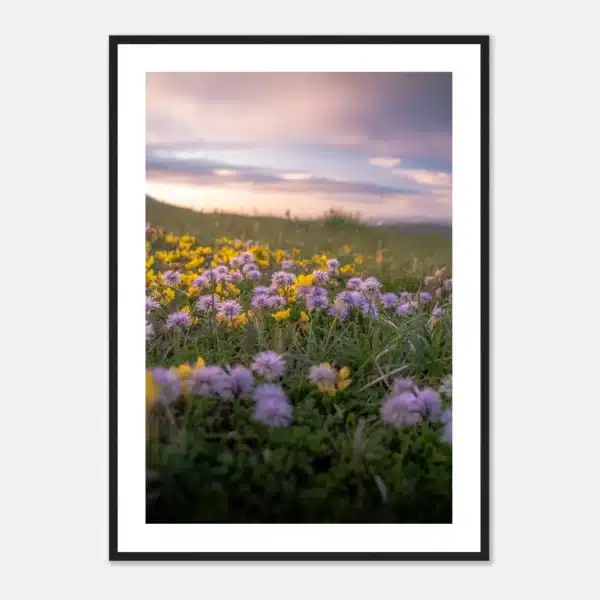 90269cf8-0d42-4d73-b744-36f38241fdaf