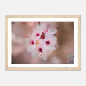 908cca05-796a-4598-8649-c31f933d9bce