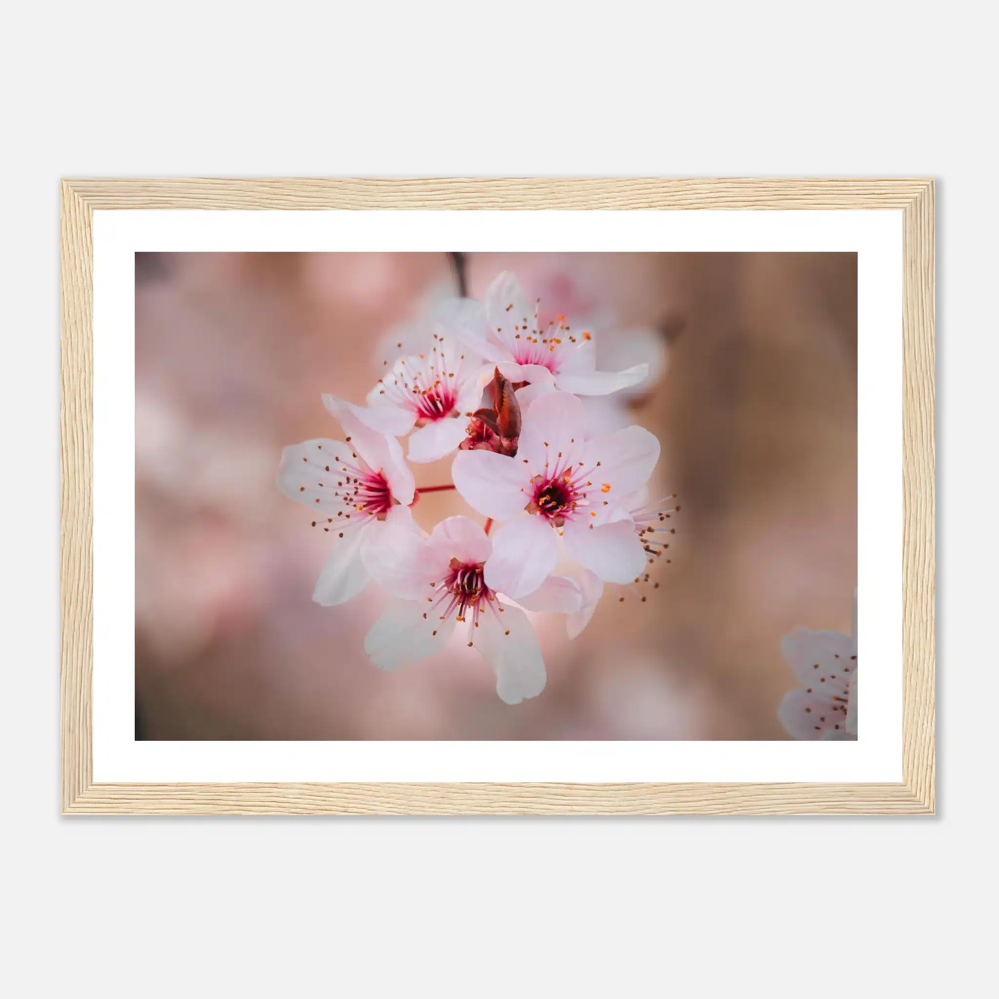 908cca05-796a-4598-8649-c31f933d9bce