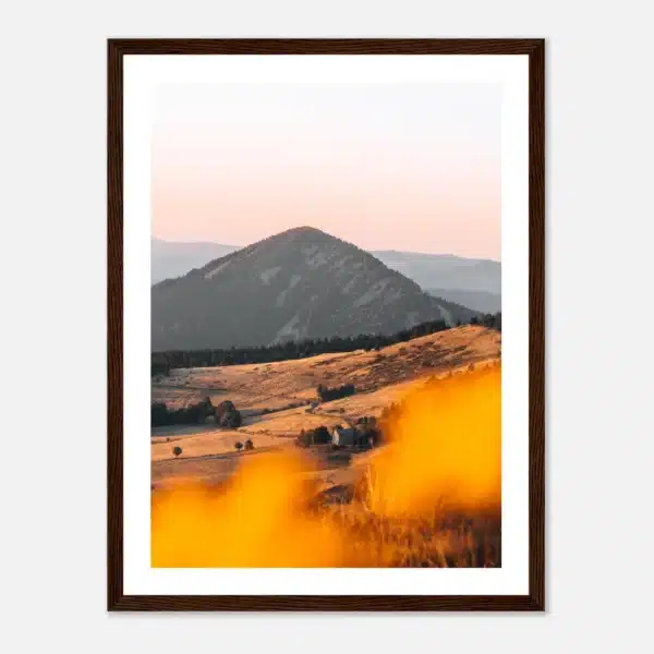 919f07c7-ef1a-4ecf-af96-a648f9c2515b