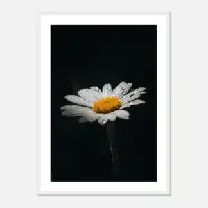 9204fdf5-7331-41a0-85f5-340797049ef2