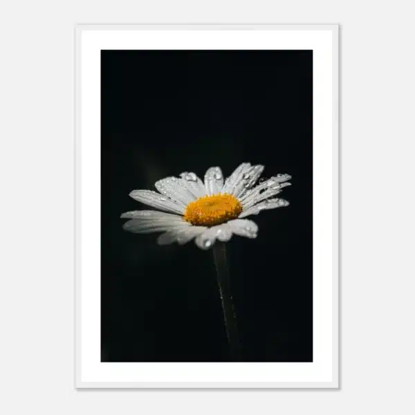 9204fdf5-7331-41a0-85f5-340797049ef2