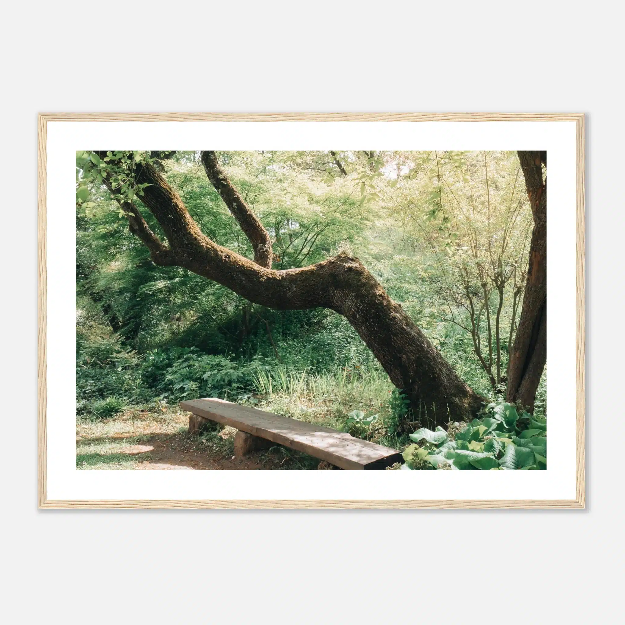 95b4845b-9fca-41d2-bae9-bfad9186dedb