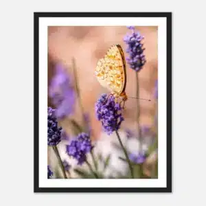 95b5e80c-3e5d-4af7-b17e-69b60da6c863