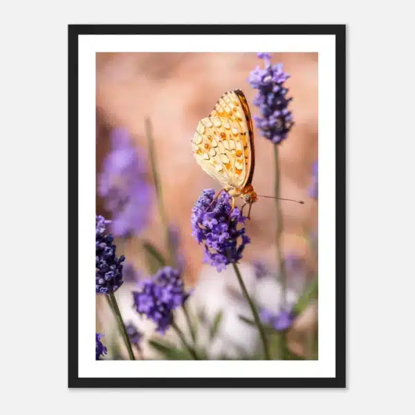 95b5e80c-3e5d-4af7-b17e-69b60da6c863