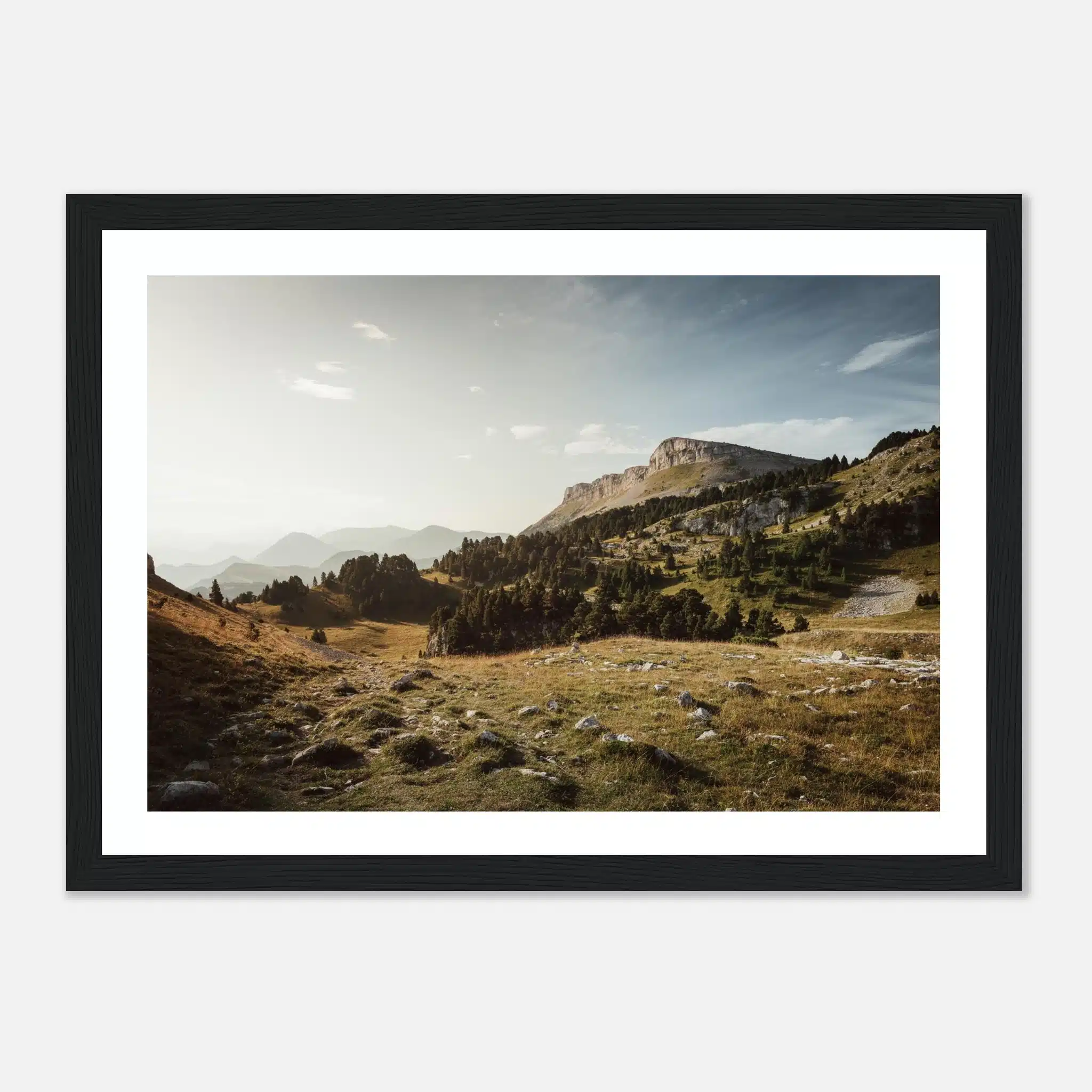 984cb4c3-b8fb-4cae-bc19-fffba33c7ab6