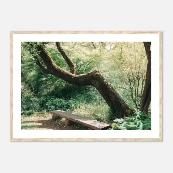 99742d54-d6d3-4cb6-acd7-4f6b657e4883