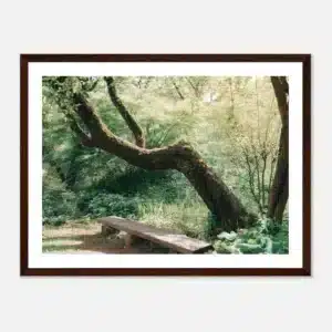 99df1b4c-e195-45fb-966f-0d5940e9e311