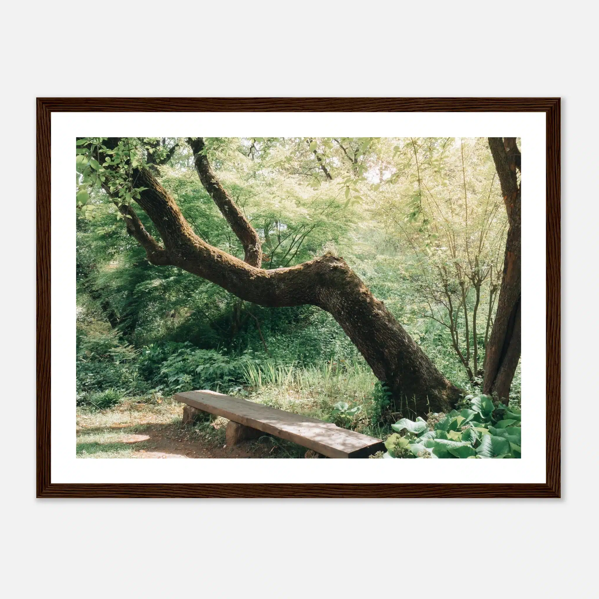 99df1b4c-e195-45fb-966f-0d5940e9e311