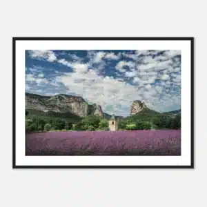 a89f2e7b-aea9-4037-a985-865623fa5ceb