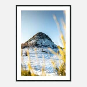 b36e28b1-99fc-4b43-a6d3-32ee5a25489c