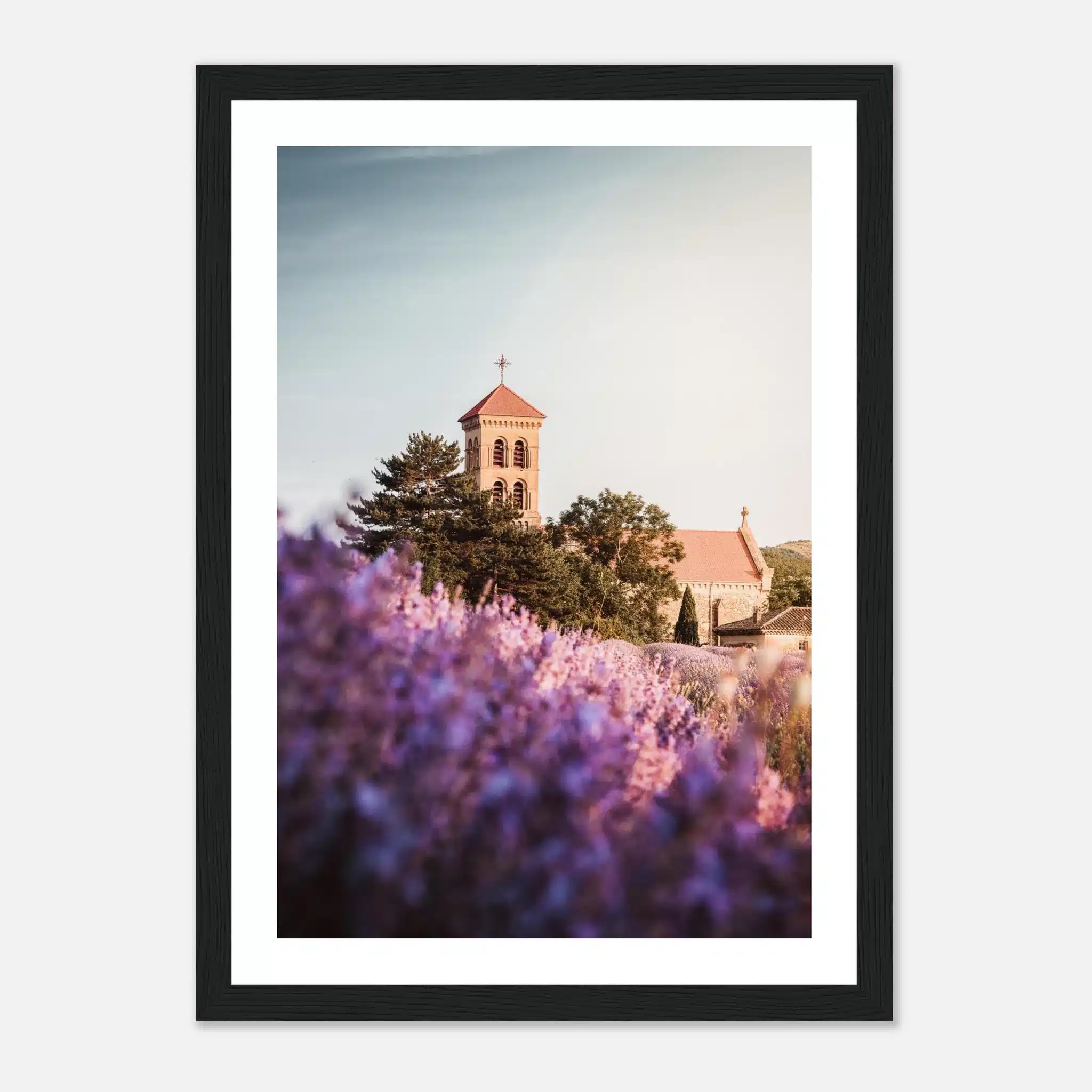 b51c376b-4fb5-4e0d-844f-8db5849aae99