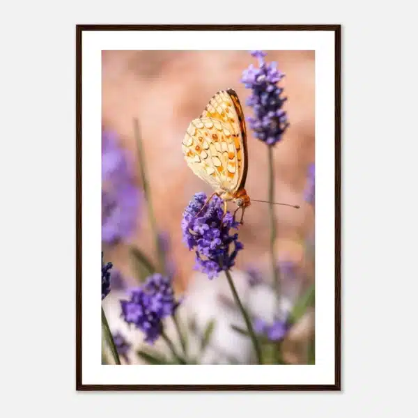 b6382ca9-eb1b-43fc-bd07-b308b2a367c0