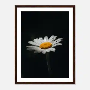 c0280f75-e5c5-4dd8-8d88-e49cd61bc5c6