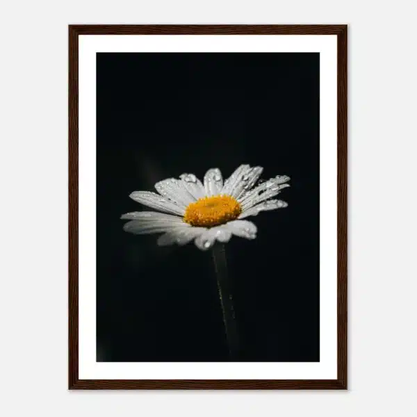 c0280f75-e5c5-4dd8-8d88-e49cd61bc5c6